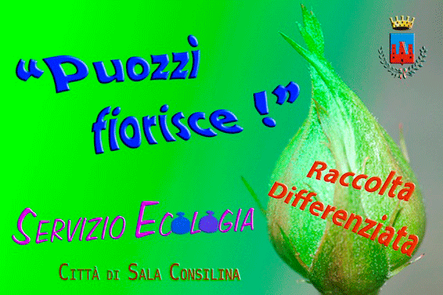 Puozzi fiorisce